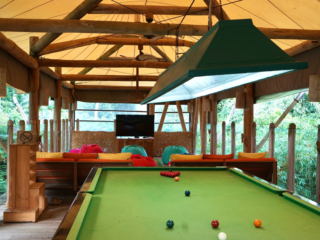 索尼娃奇瑞主图