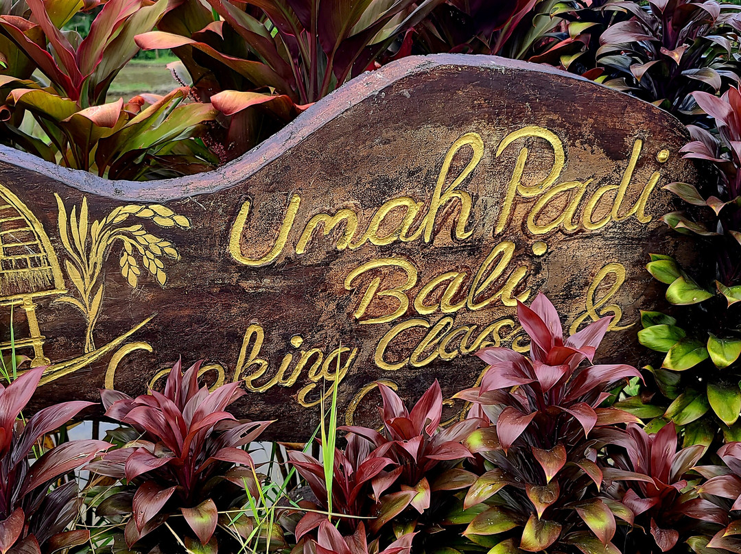 Umah Padi Bali Cooking Class-乌布必去景点