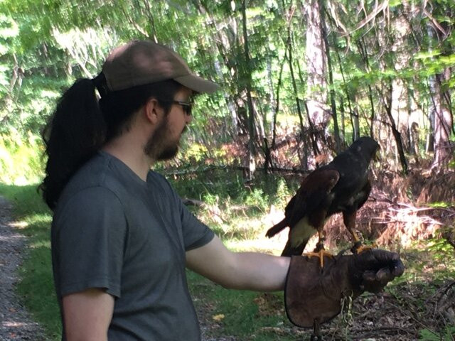 Monadnock Falconry景点图片