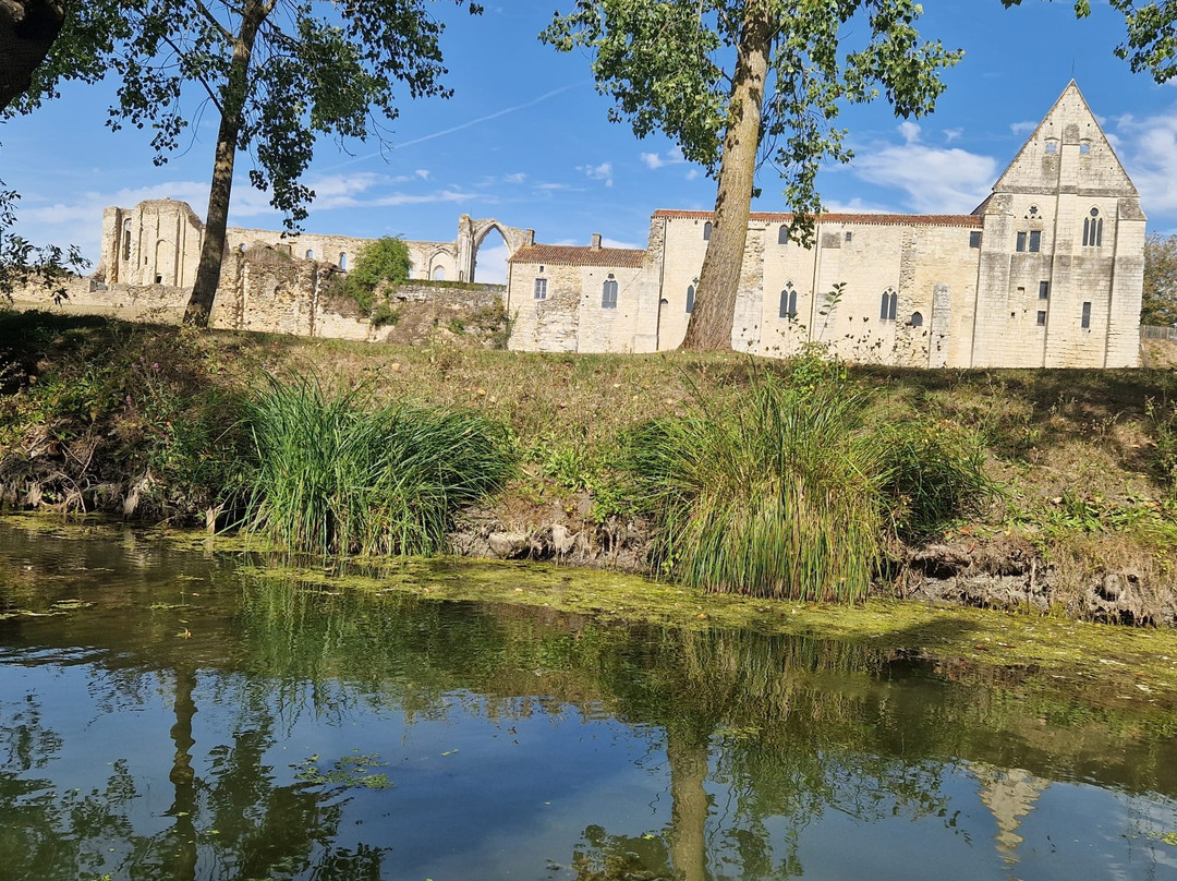 Destination Vendee Marais poitevin景点图片