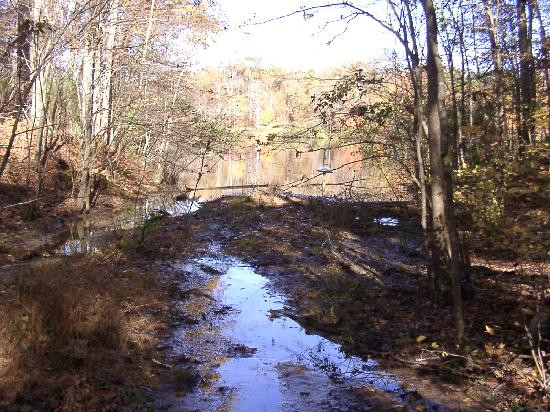 Anne Springs Close Greenway-米尔堡必去景点