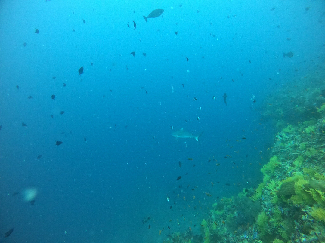 Dive Butler Finolhu-Kanufushi必去景点