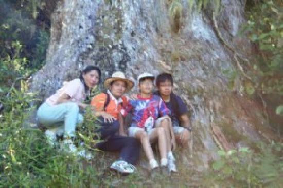 Awhina Wilderness Experience Tours景点图片