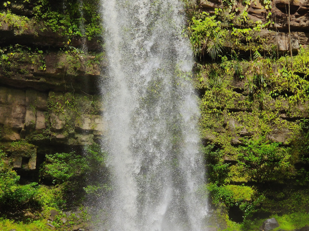 Maliau Basin Conservation Area-斗湖必去景点