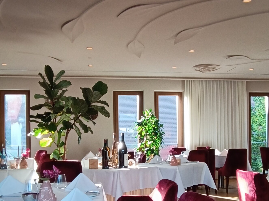 Hotel Neues Tor主图