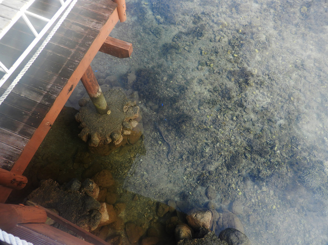 Aga Reef Resort主图