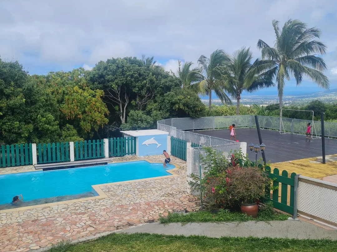 Zoiseaux Paradis主图