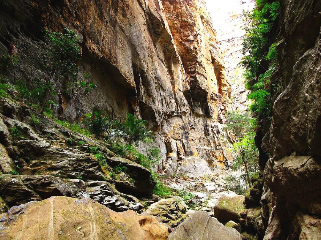 Canyon des Rats景点图片