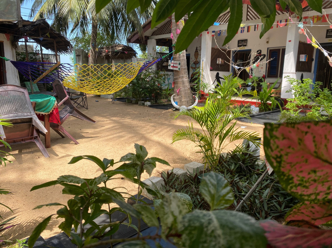 Star Rest Surf Camp主图