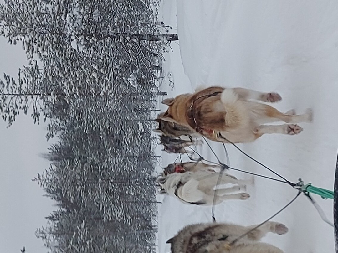 Nordic Adventures-罗瓦涅米必去景点