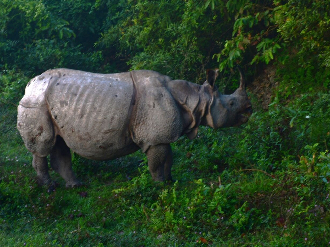 NorthEast Guide-古瓦哈提必去景点