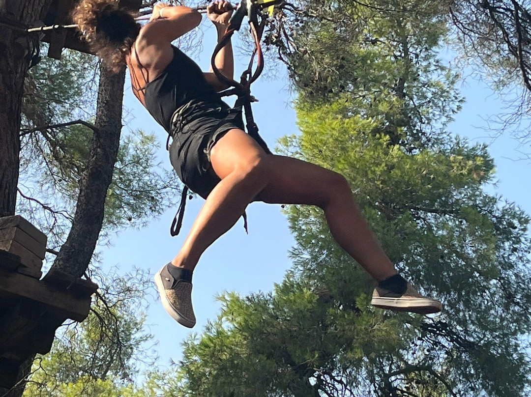 Athena Private Tours-雅典必去景点