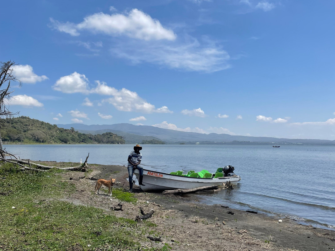 Safari And Trekking Africa-阿鲁沙必去景点
