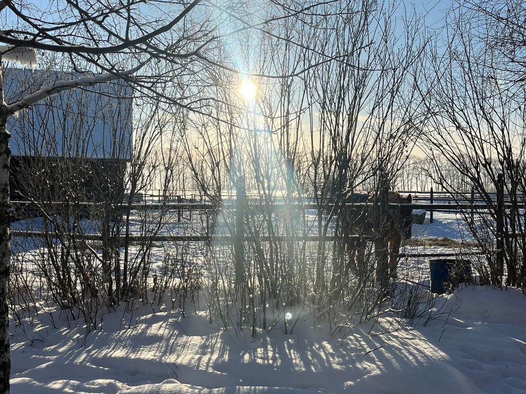 Konniy Dvor Guest House主图