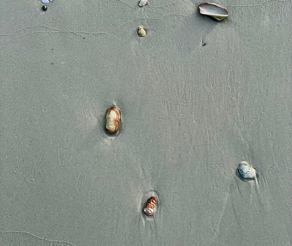 Hotel Paradise Coche主图