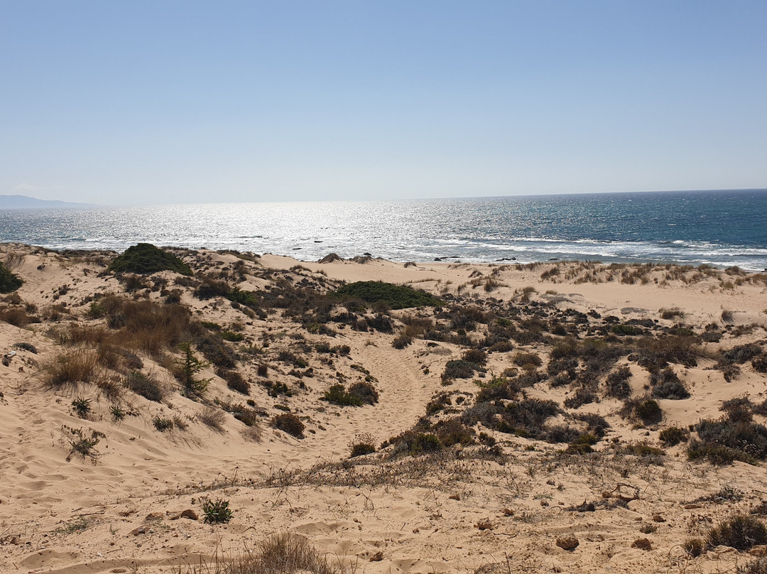 Cabo Trafalgar景点图片