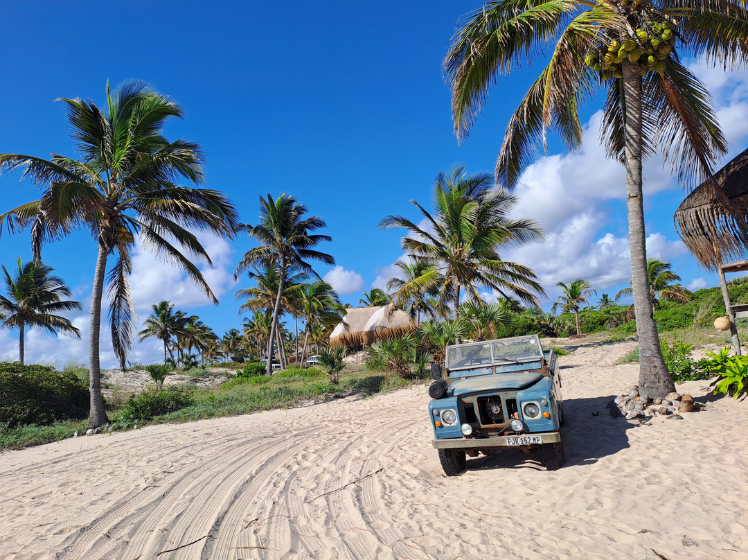 Pura Vida Lodge主图