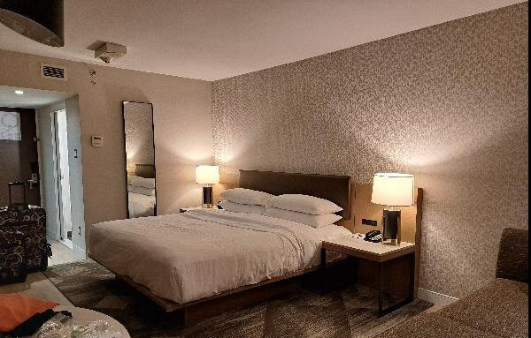 Sheraton Montreal Airport Hotel主图