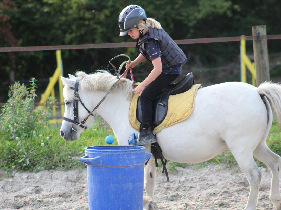 Lamballe Équitation-Lamballe必去景点