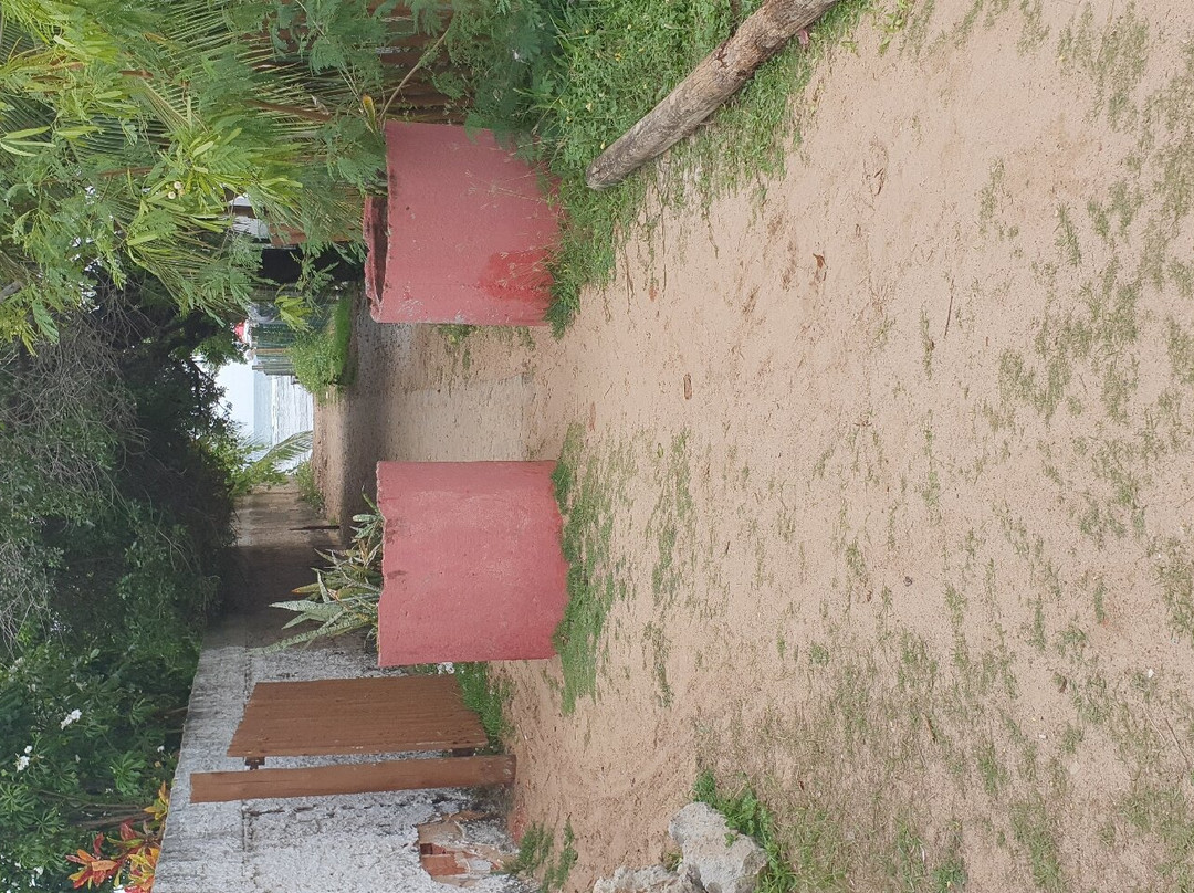 Praia de Itacimirim景点图片