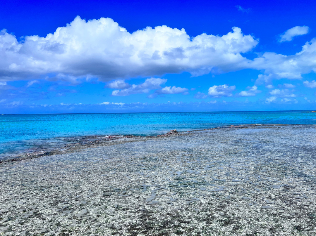 Turks Ventures by Drex-普罗维登西亚莱斯必去景点