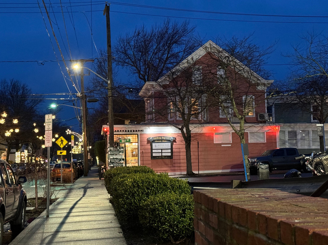 American Beech主图