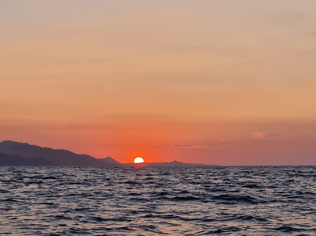 Ozean Dreamer Fleet-卡波圣卢卡斯必去景点