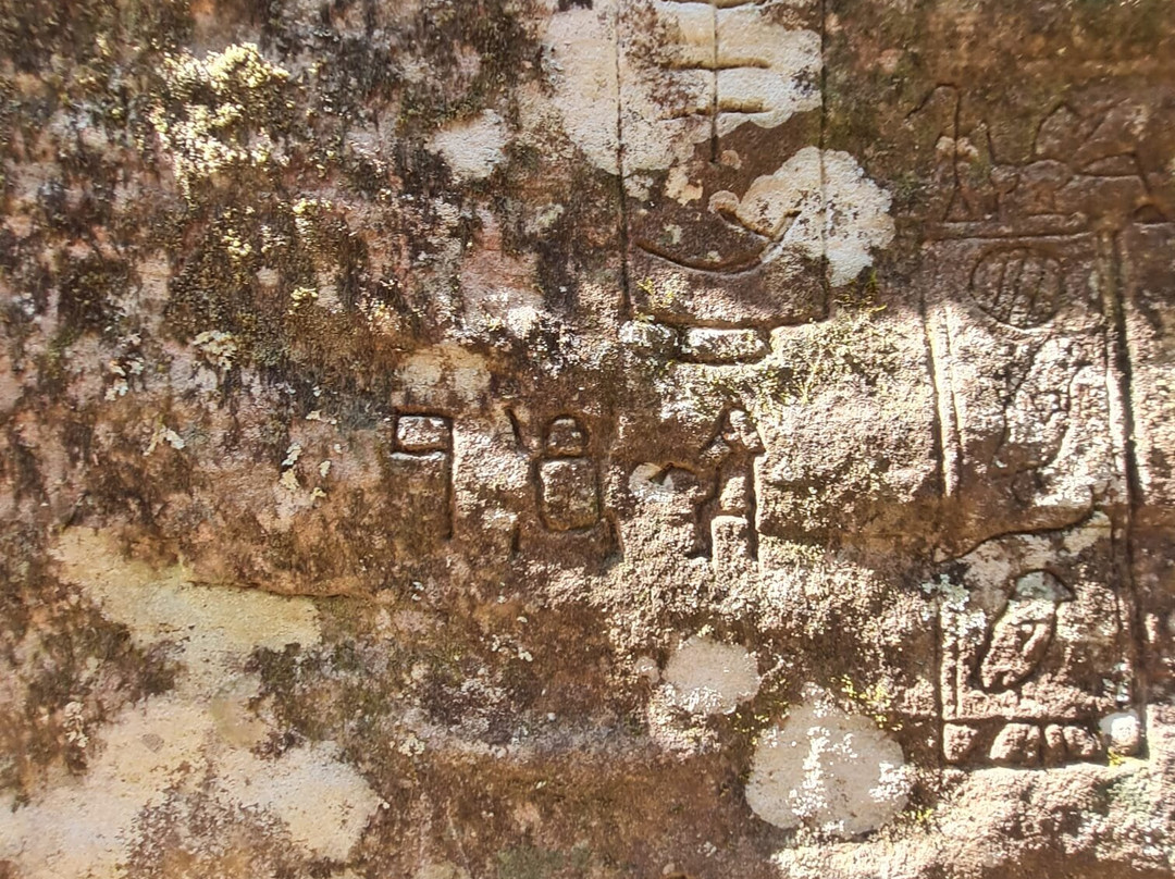 Gosford Glyphs-Kariong必去景点