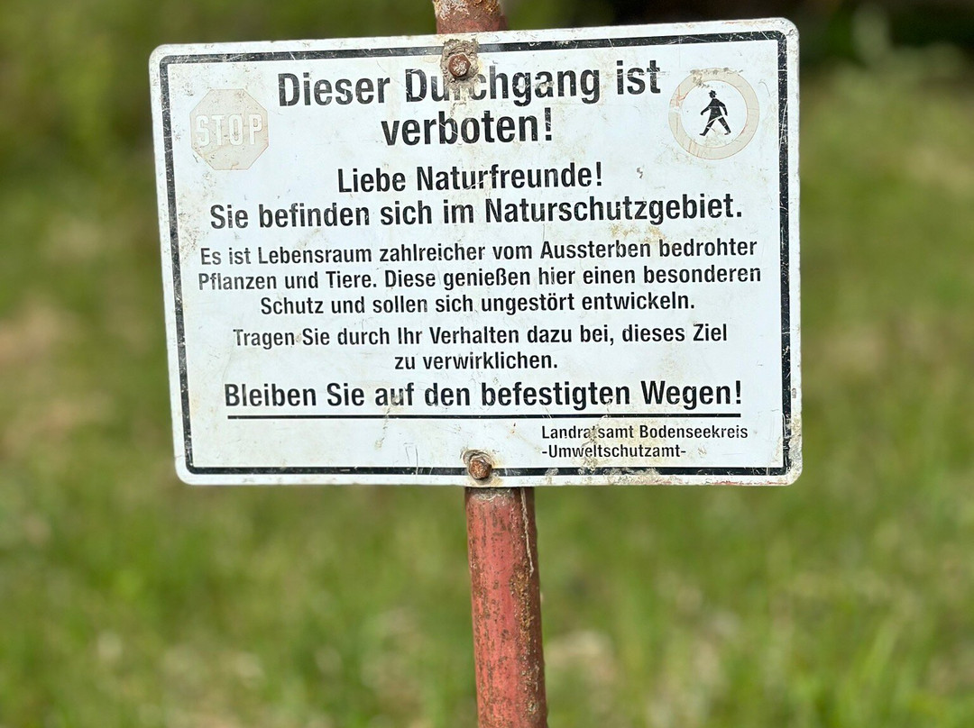 Eriskircher Ried Naturschutzgebiet景点图片