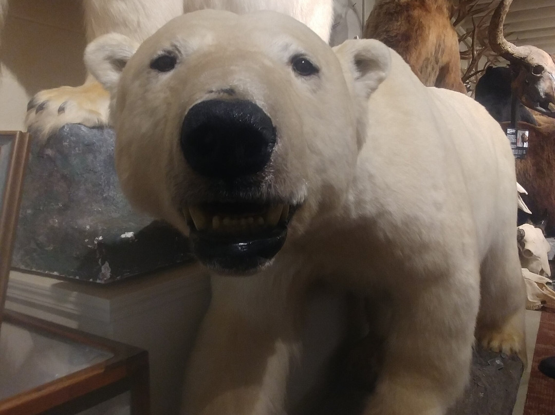 Hand of Man - Museum of Natural History, Cultural Arts & Conservation景点图片