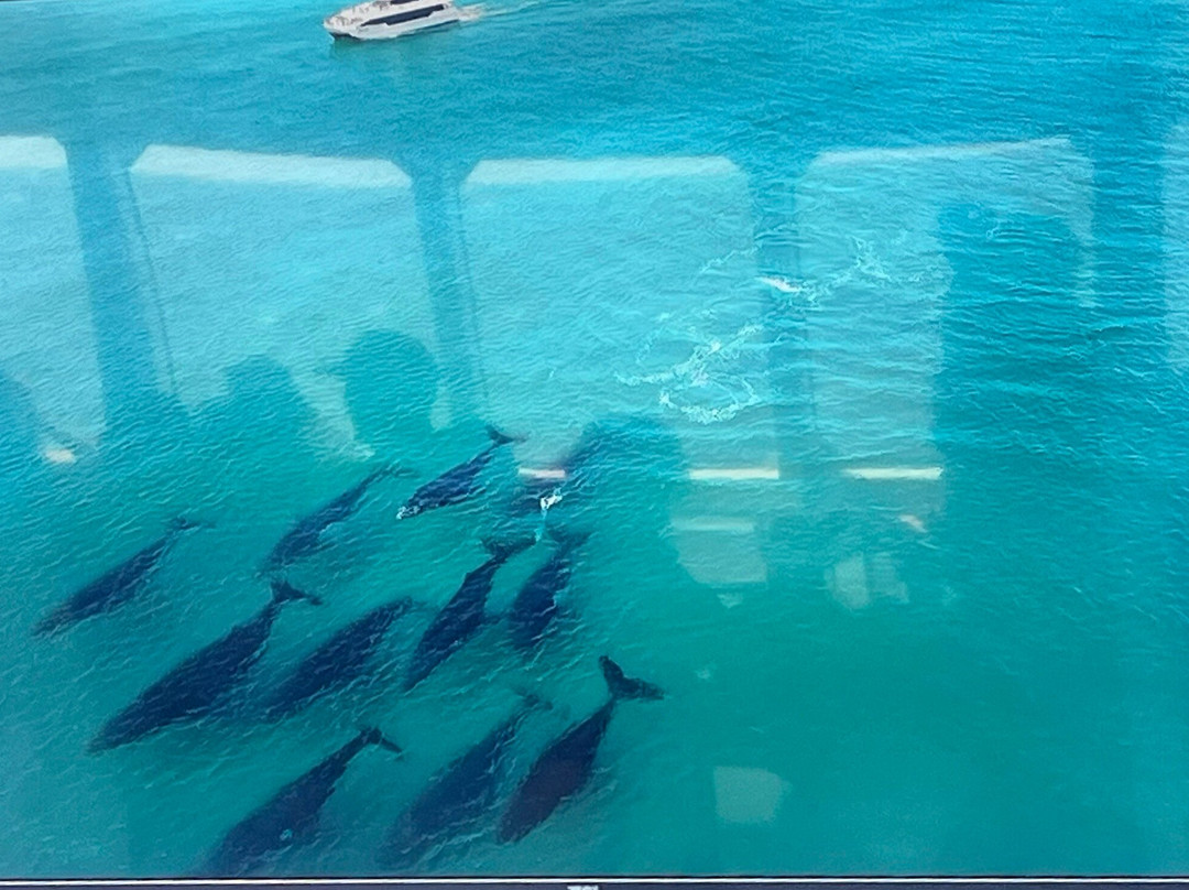 Redcliffe Visitor Information Centre-雷德克利夫必去景点