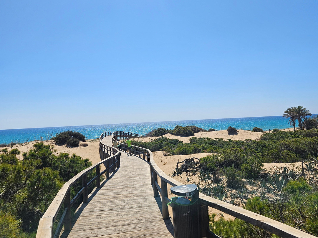 Playa El Campo景点图片