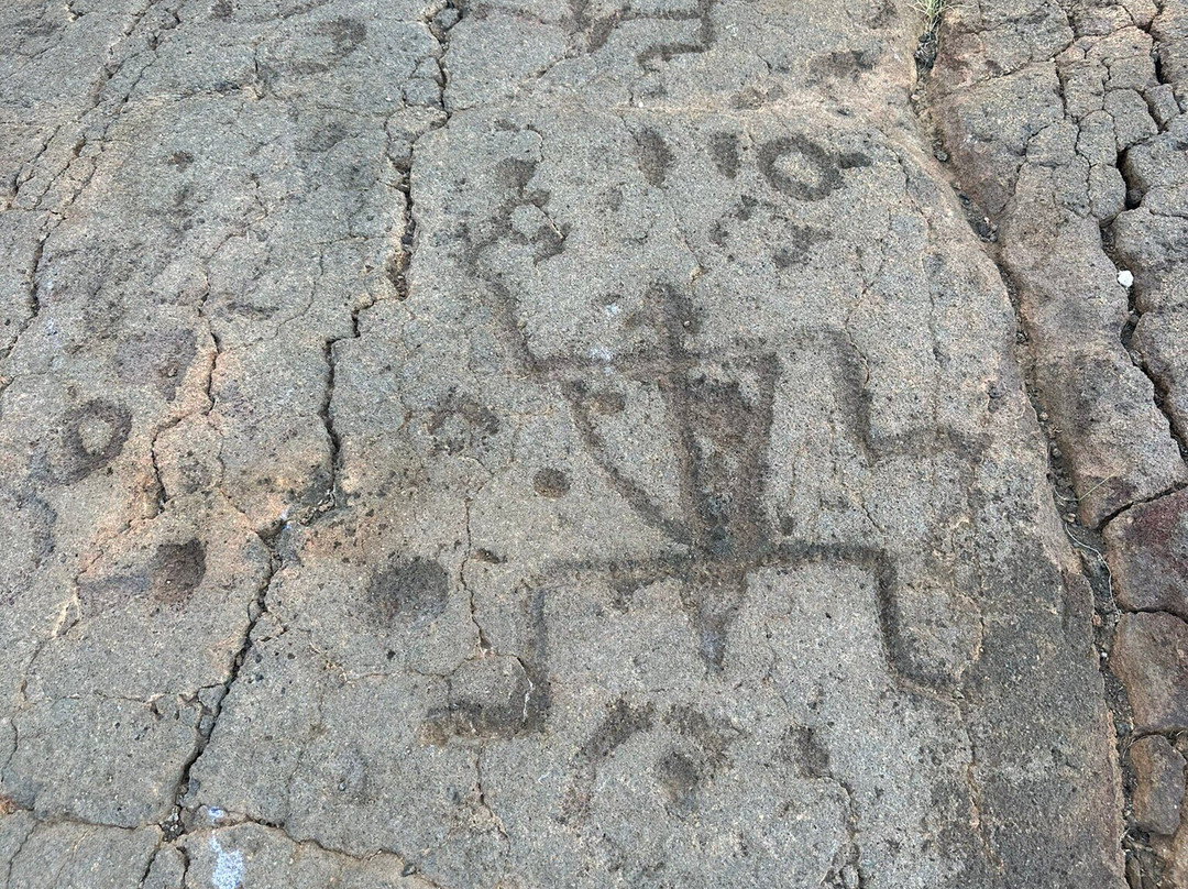 Waikoloa Petroglyph Preserve景点图片