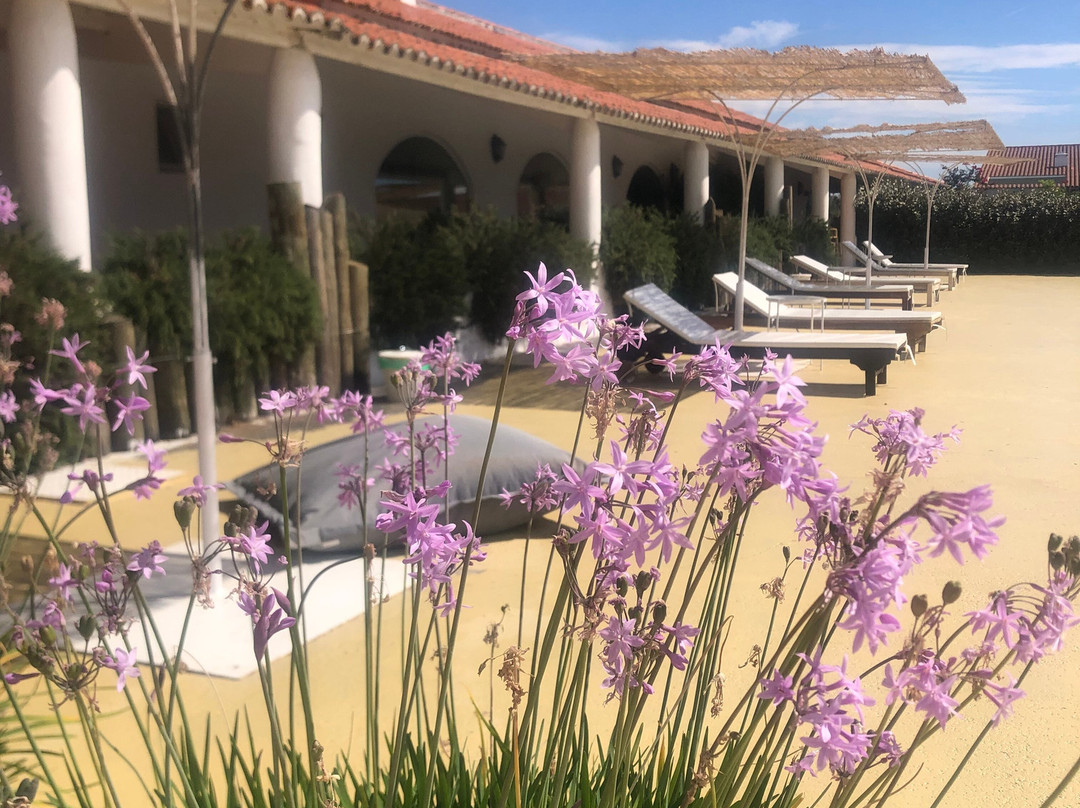 Sesmarias Turismo Rural & SPA主图