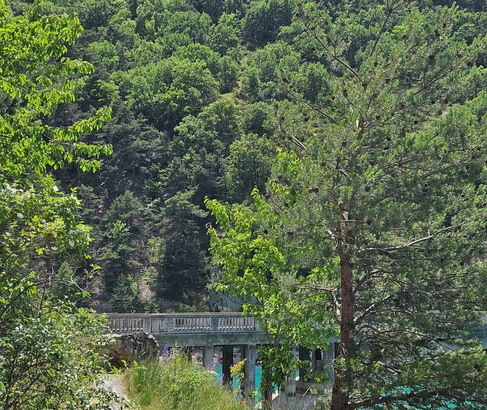 Lac de Castillon景点图片