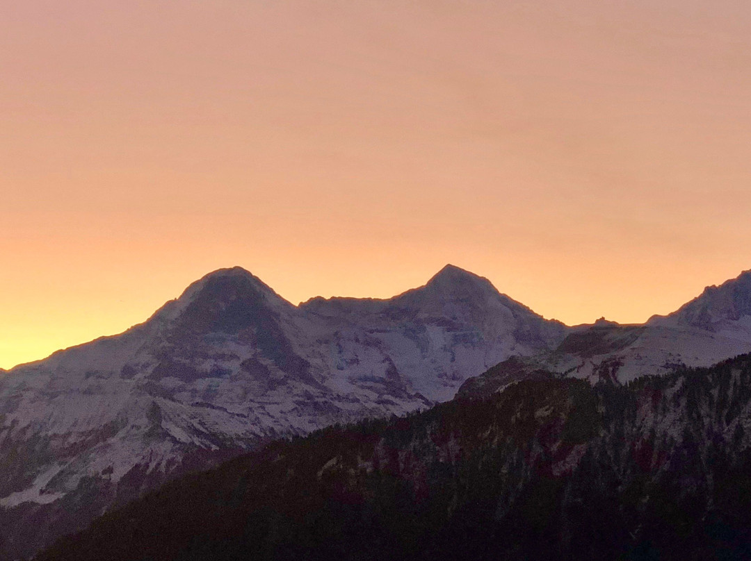 Dorint Thermenhotel Freiburg主图