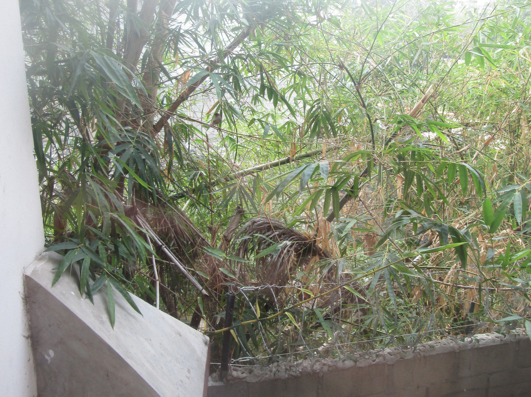 Hotel La Ceiba主图