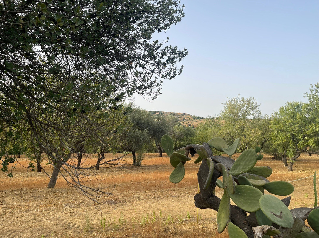 SicilyCarTour NCC di Roberto Bellavia景点图片
