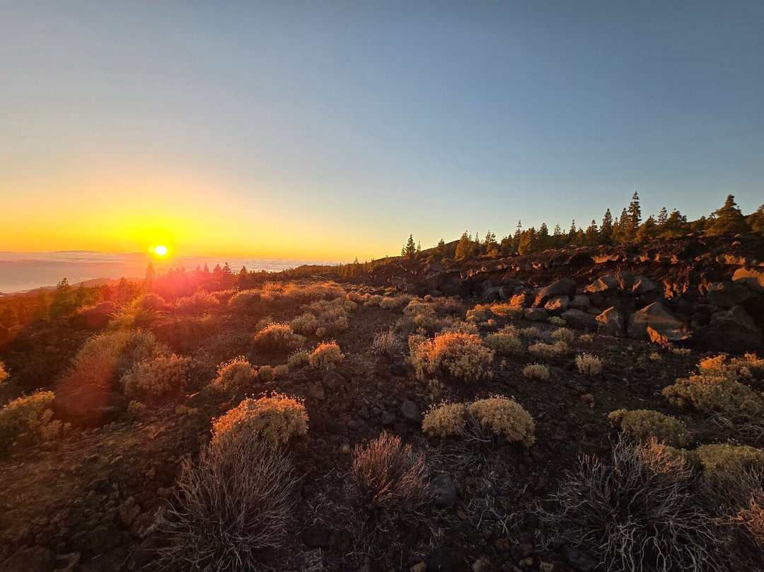 StarExcursions-阿罗纳必去景点