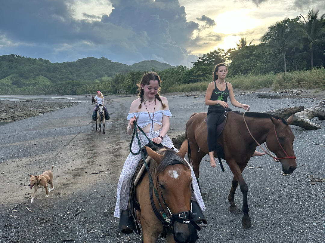 Blue Zone Equestrian景点图片