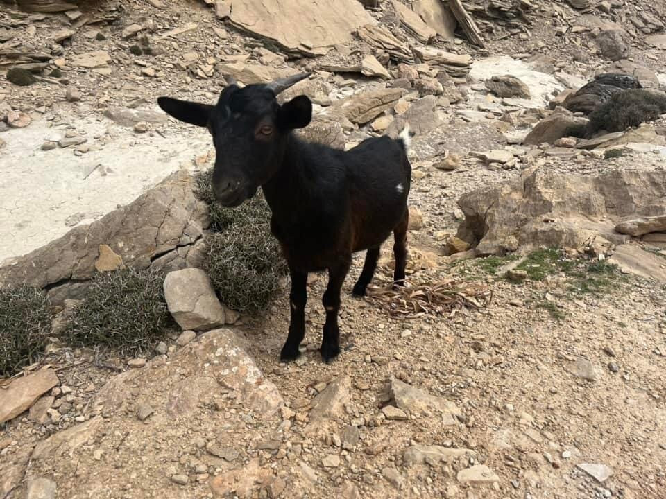 Cala Boquer-波连萨必去景点