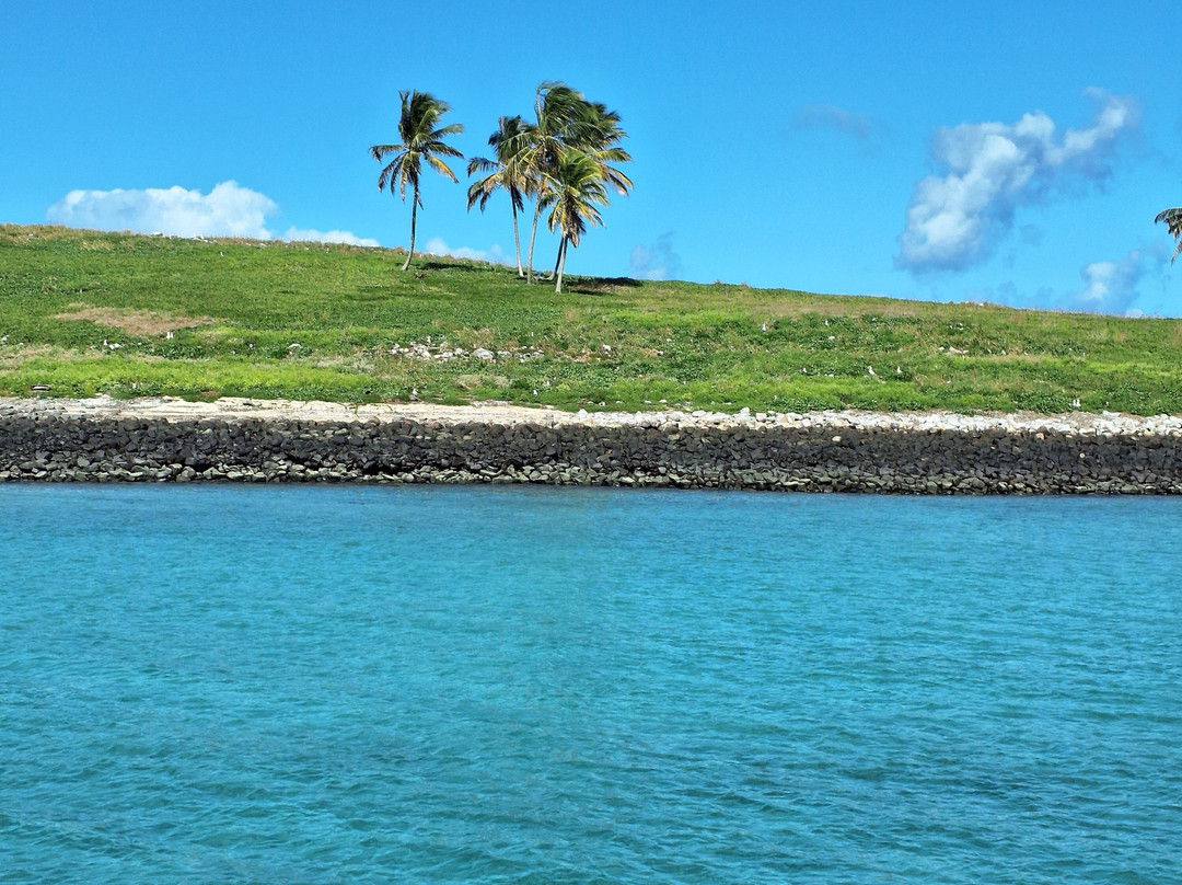 Parque Nacional Marinho dos Abrolhos-Caravelas必去景点