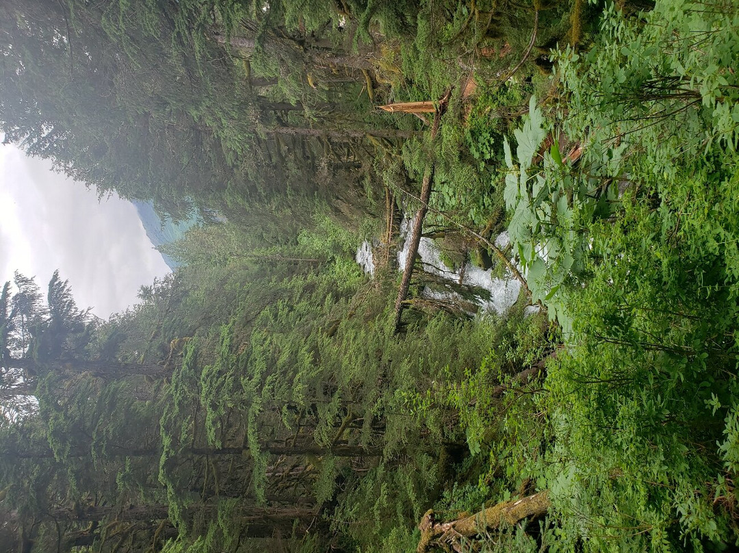 Virgin Creek Falls Trail景点图片
