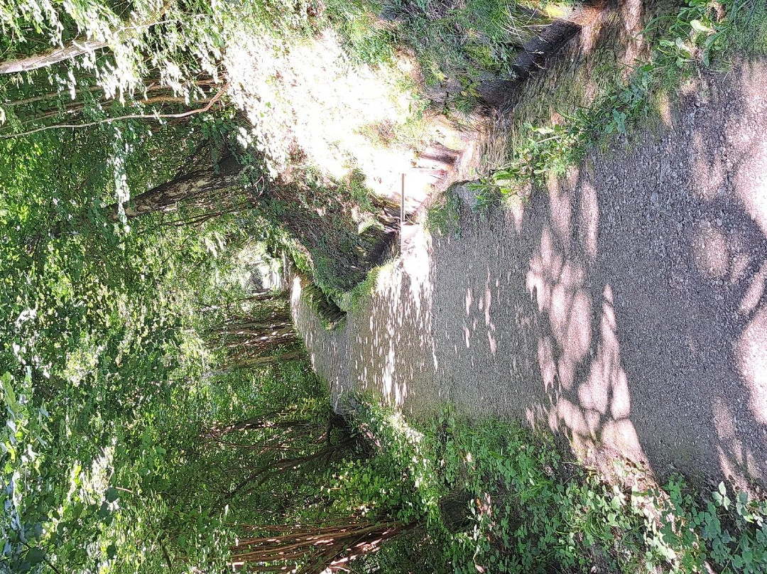 Rablander Waalweg景点图片