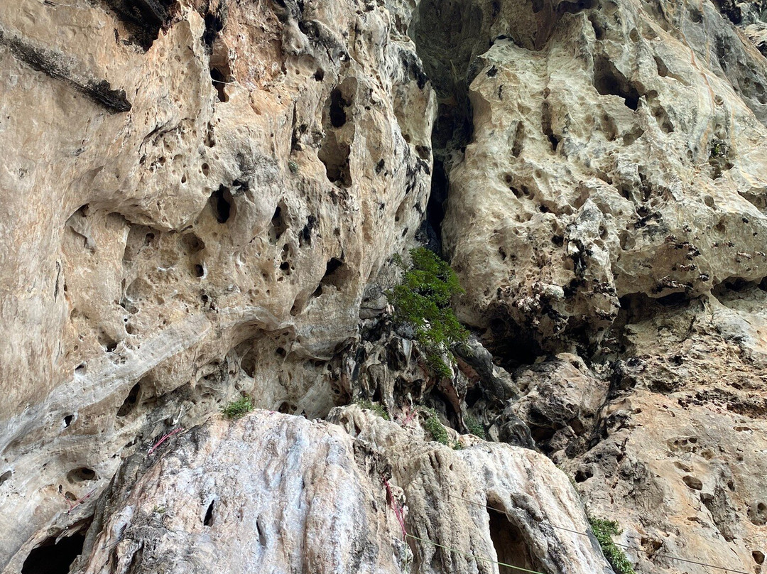 Tex Rock Climbing-莱利海滩必去景点