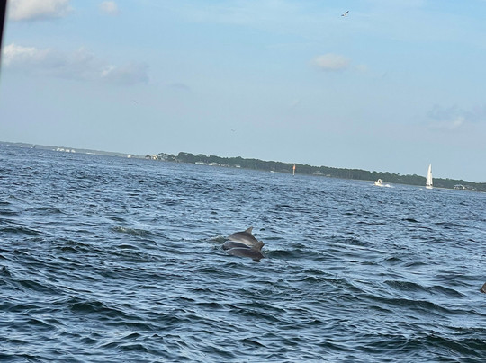 Caribe Cruiser-橙色海湾必去景点