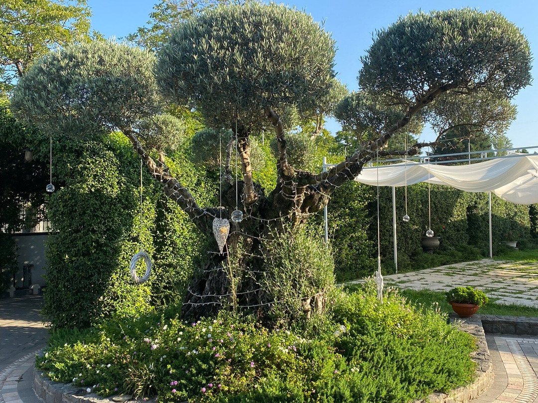 Villa Masseria Marini景点图片