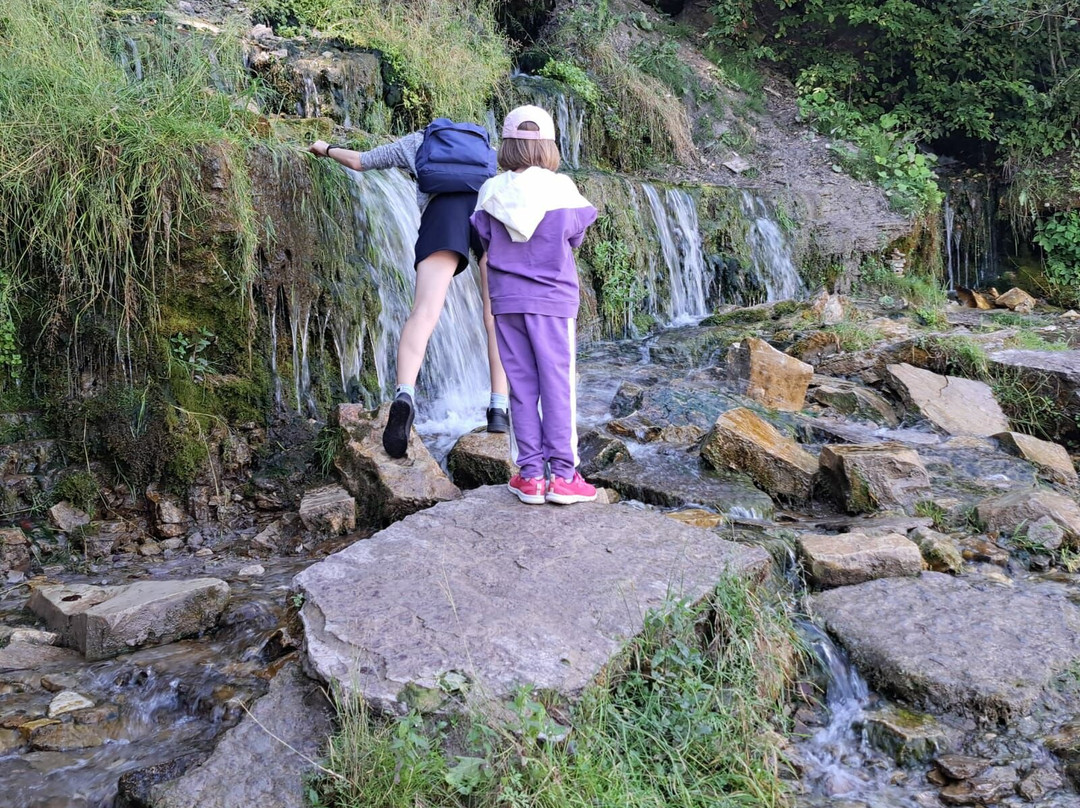 Slovenskiye Springs景点图片