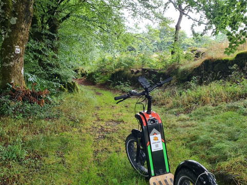 Trott'in Forest-Le Soulie必去景点