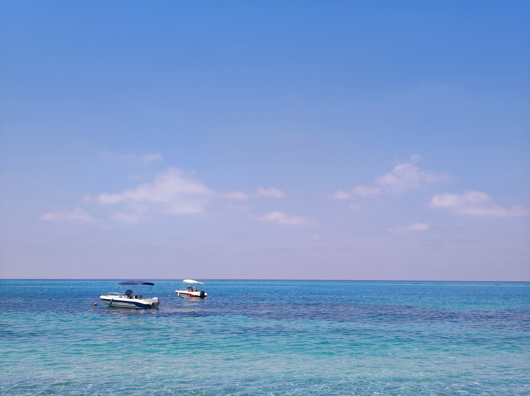 B&B Allison Tropea主图